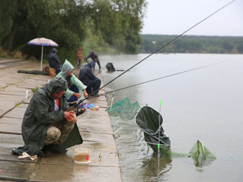 На пруду-охладителе Нововоронежской АЭС прошли соревнования по ловле рыбы
