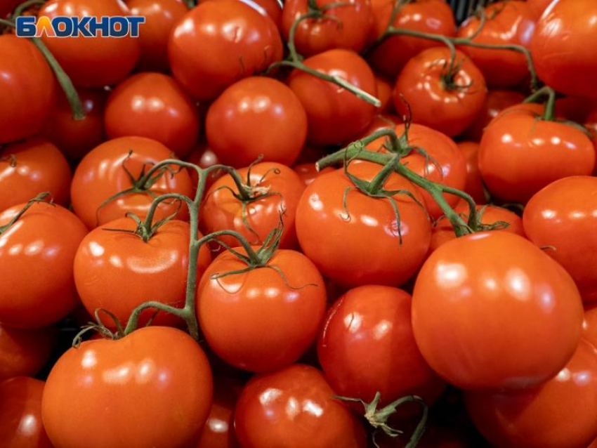 Цены на свежие помидоры и огурцы взлетели в Воронежской области