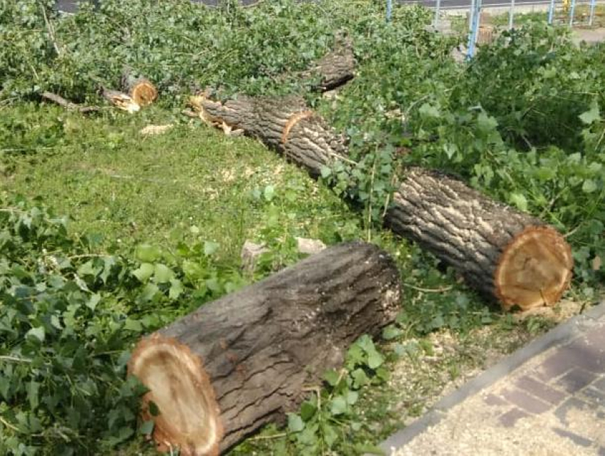 Распил в центре Воронежа решили убрать ночью