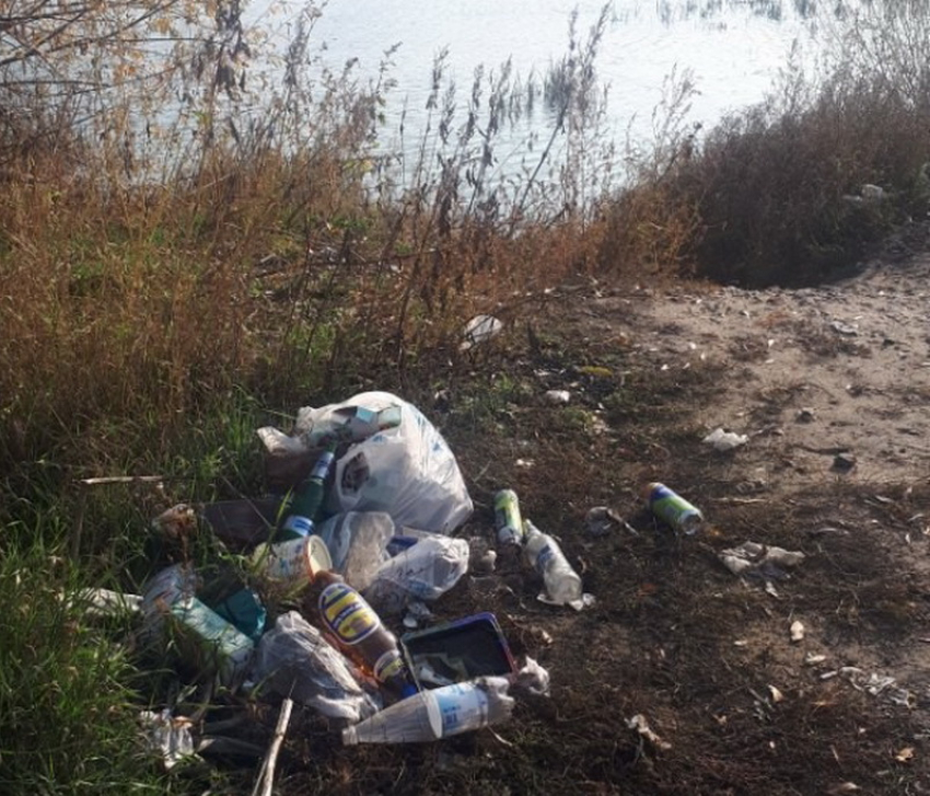 Воронежцев, загадивших берег реки Дон, назвали неизлечимыми мерзотами