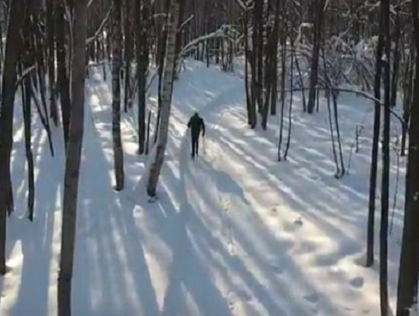 Сотрудники Воронежского заповедника пригласили горожан покататься на лыжах с помощью прекрасного видео 