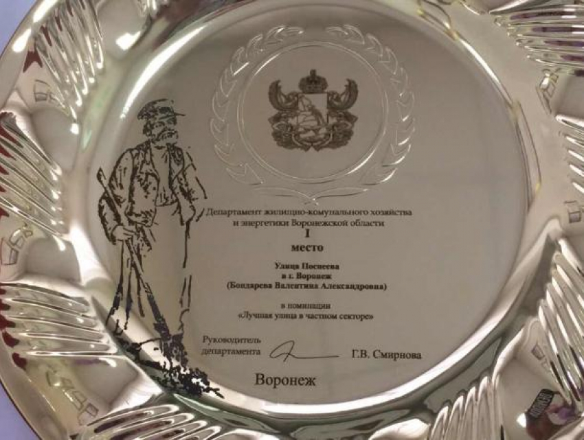 В мэрии Воронежа назвали лучшую улицу частного сектора