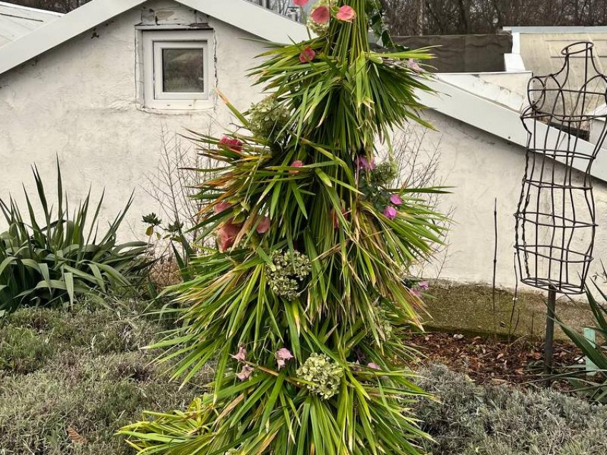 Экзотическую елку поставили в предновогоднем Воронеже
