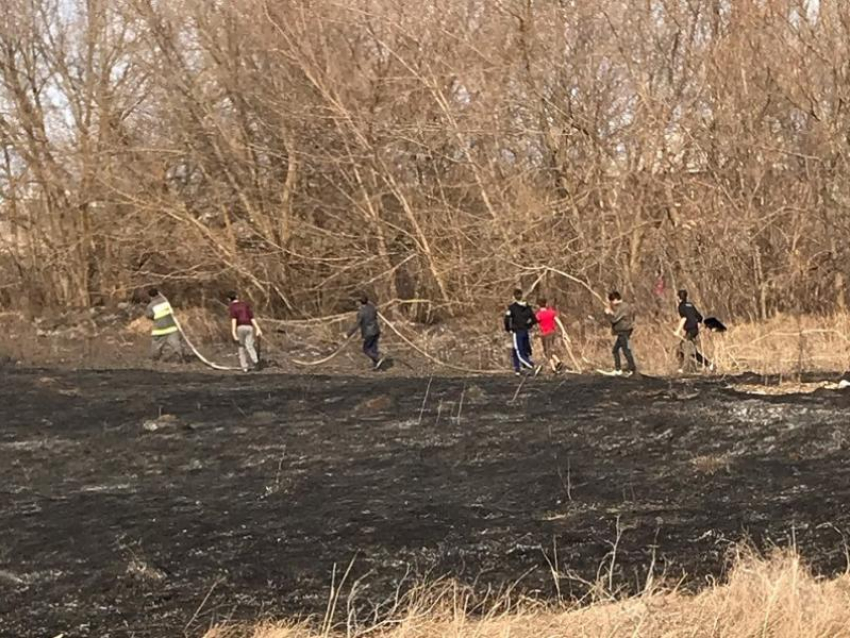 Пожары в Дивногорье заинтересовали воронежскую прокуратуру