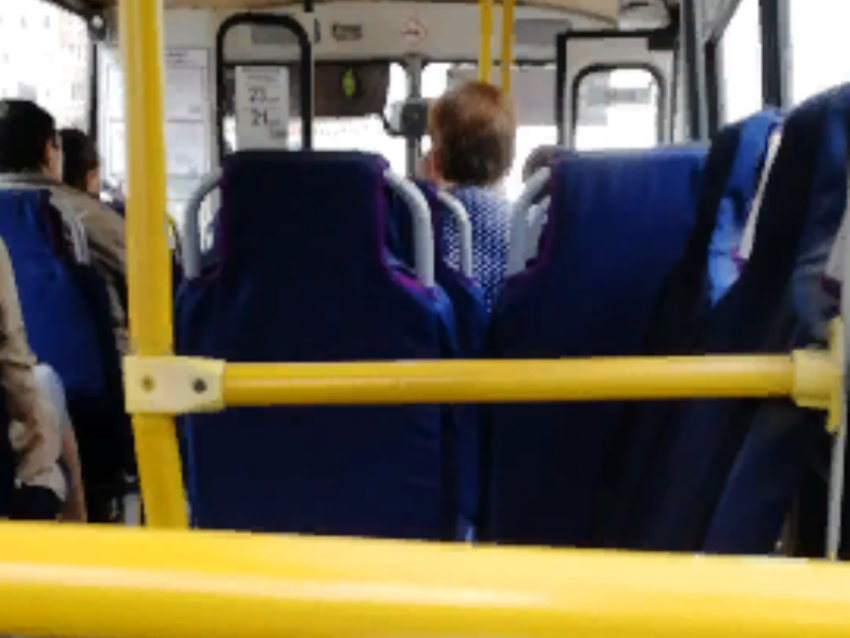  Перепалка пассажиров с маршрутчиком из-за долгой остановки попала на видео в Воронеже 