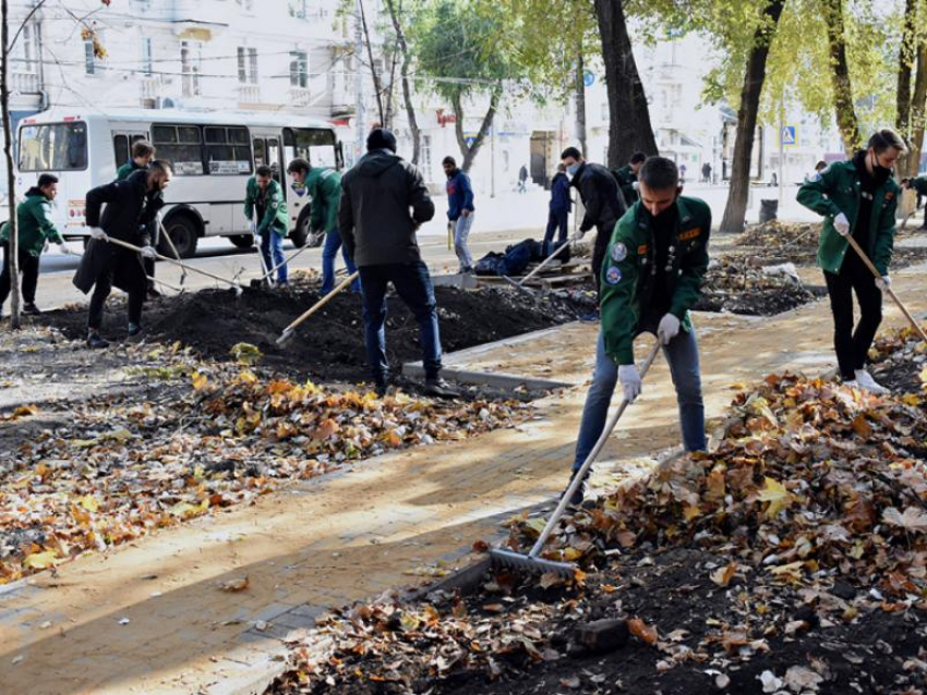 В Воронеже создают новый сквер