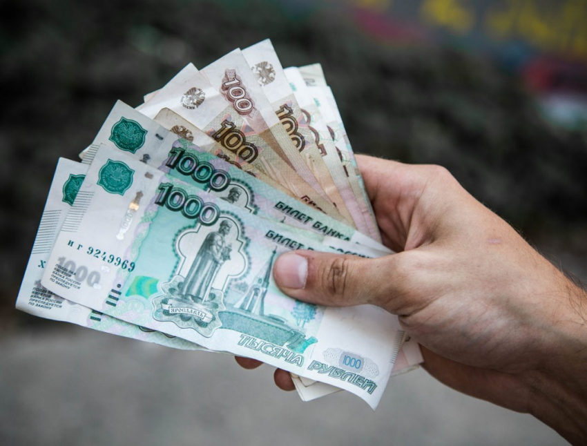 Компания из пяти человек обогнала по выручке бюджет Воронежской области