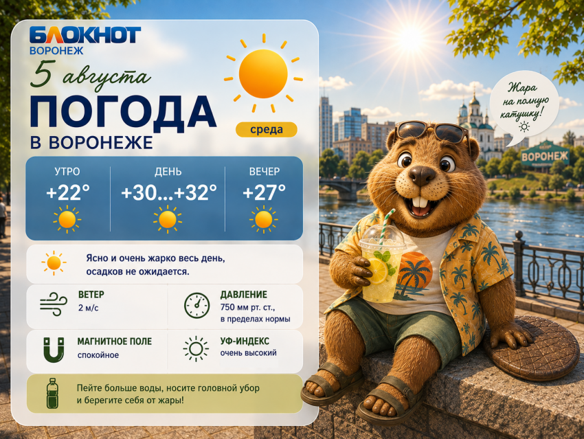 Жара до +34 добралась до Воронежа: прогноз погоды