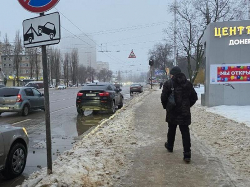 Вопрос о горькой судьбе пешеходов поставила жительница Воронежа 