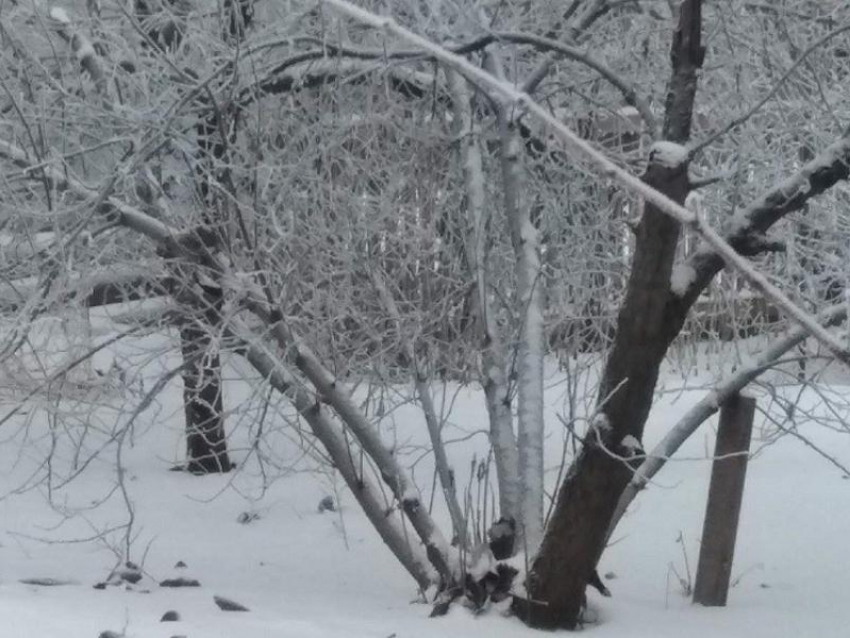 Непогода задержится еще на день в Воронежской области