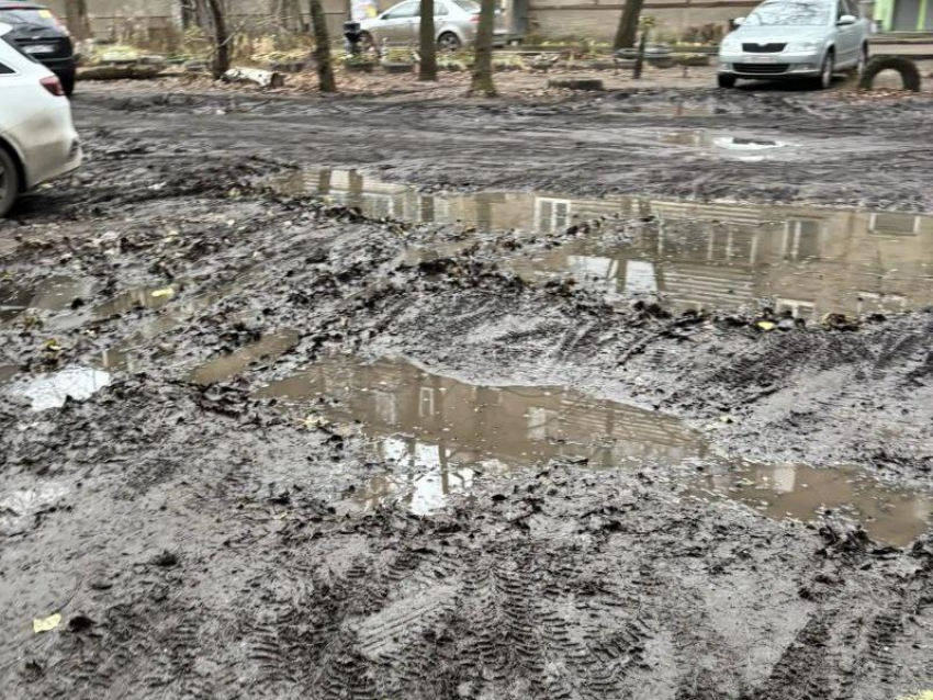 "Грязевое царство» заметили в воронежском дворе