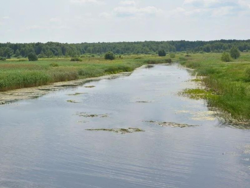 Воронежские чиновники нашли того, кто начертит им границы водоохранных зон за 3 млн рублей