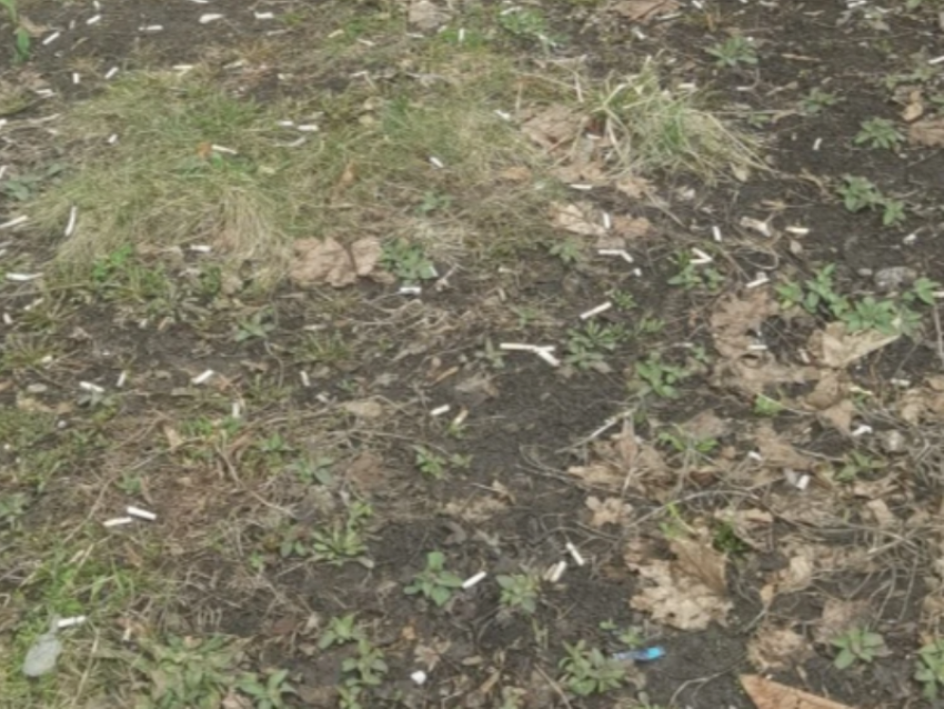 Снег сошел, а «пепельница» осталась: воронежцы жалуются на окурки под окнами