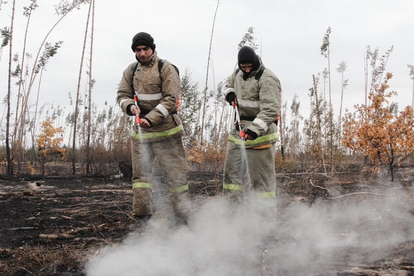 Потушен последний крупный пожар: как сгорала Воронежская область