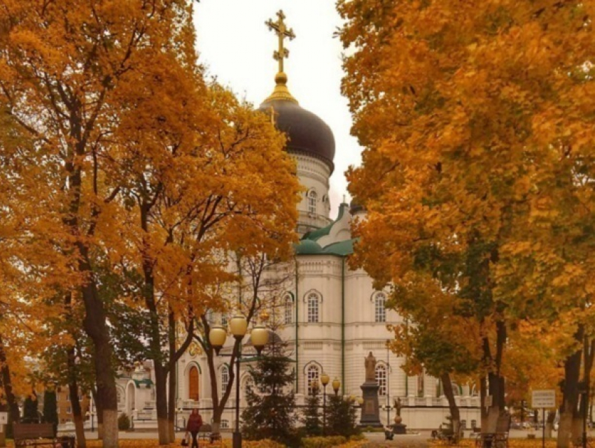 Самое красивое осеннее место сфотографировали в Воронеже