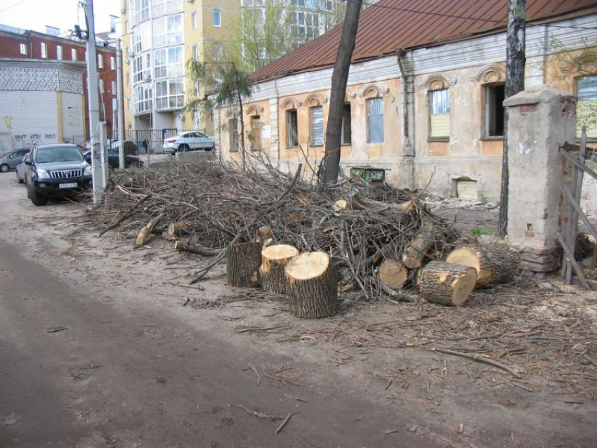 Музей Петра I решили создать в обновленном Доме Гарденина в Воронеже