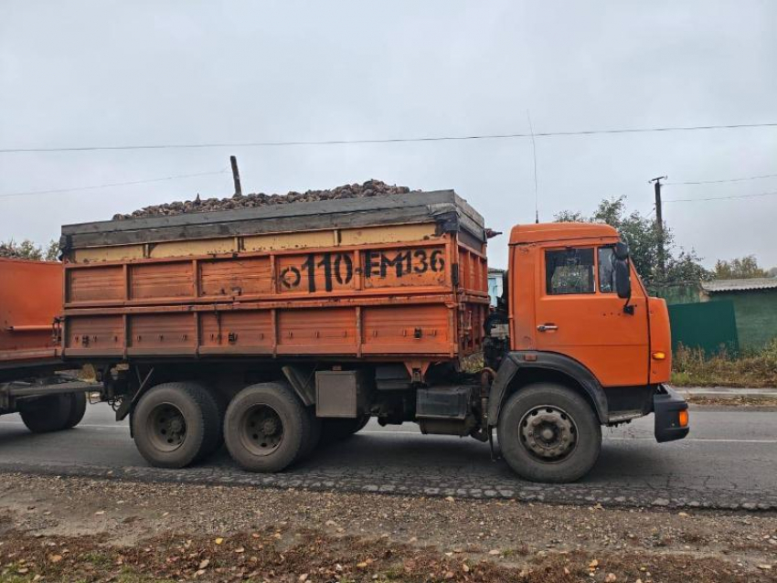 Велосипедист погиб в ДТП с КамАЗом под Воронежем