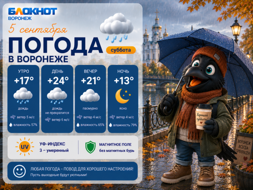 Кап-кап: прогноз погоды в Воронеже