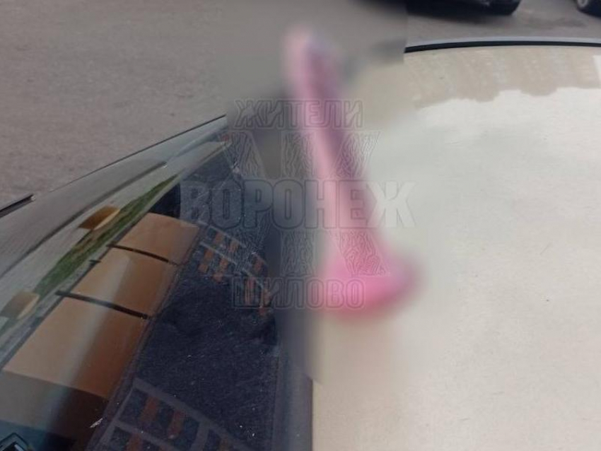 Парковка с последствием: генитальный стыд присосался на стекло водителю в Воронеже