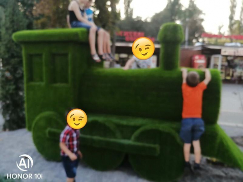Детские забавы с травяным паровозиком неоднозначно восприняли в Воронежа