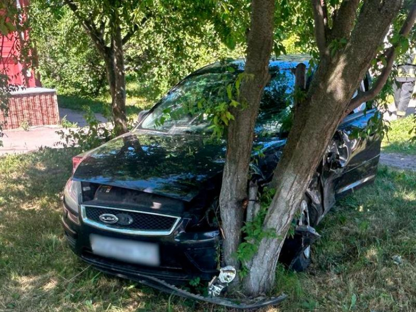 Двое детей пострадали при столкновении машины с деревом в Воронежской области