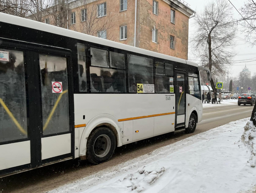 В Воронеже появится чат-бот для обратной связи с пассажирами маршруток и автобусов