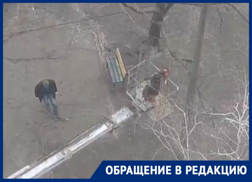 Воронежские коммунальщики «прошлись» по деревьям во дворе на Новгородской