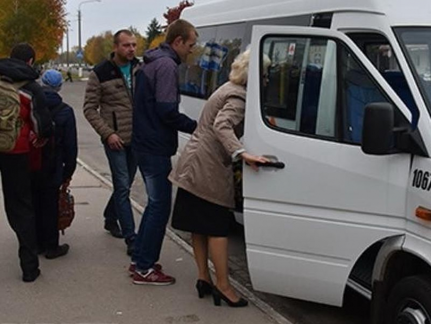 Тысяче студентам власти доверили следить за маршрутками Воронежа