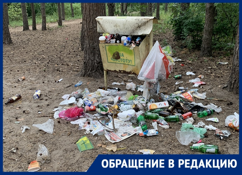 Северный лес утопает в кучах мусора в Воронеже