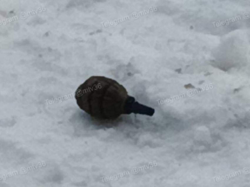 В Воронеже расследуют инцидент с выброшенной с балкона гранатой