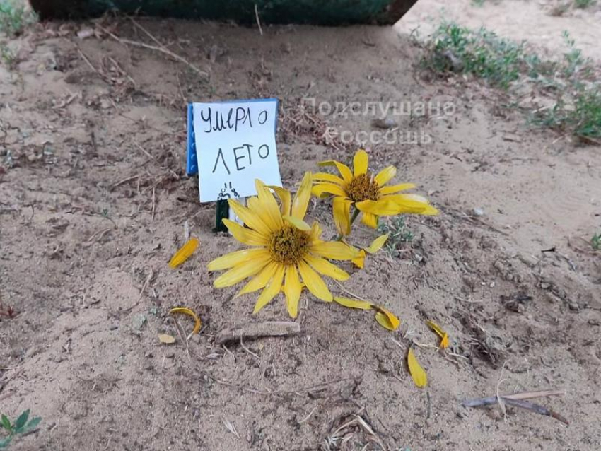 Похороны лета устроили в Воронежской области
