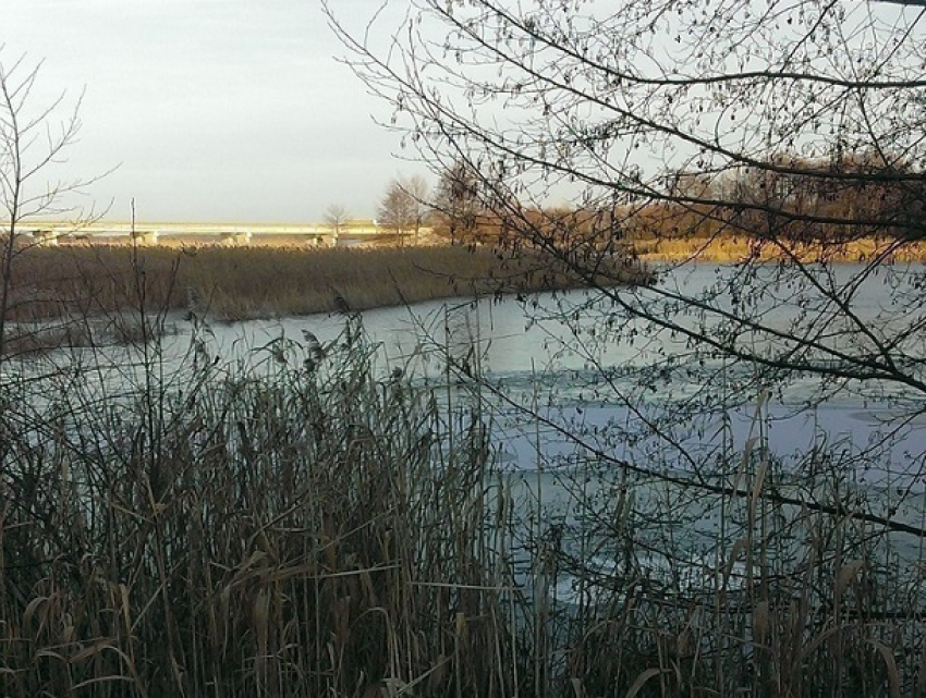 В Воронеже утонул рыбак, провалившись под лед 