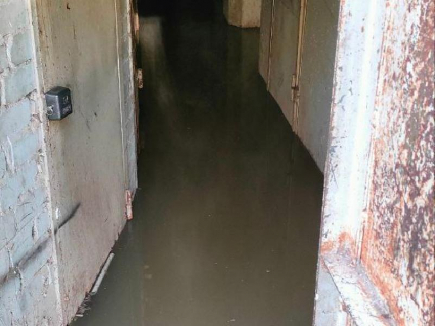 Вонючий подвал шокировал воронежцев
