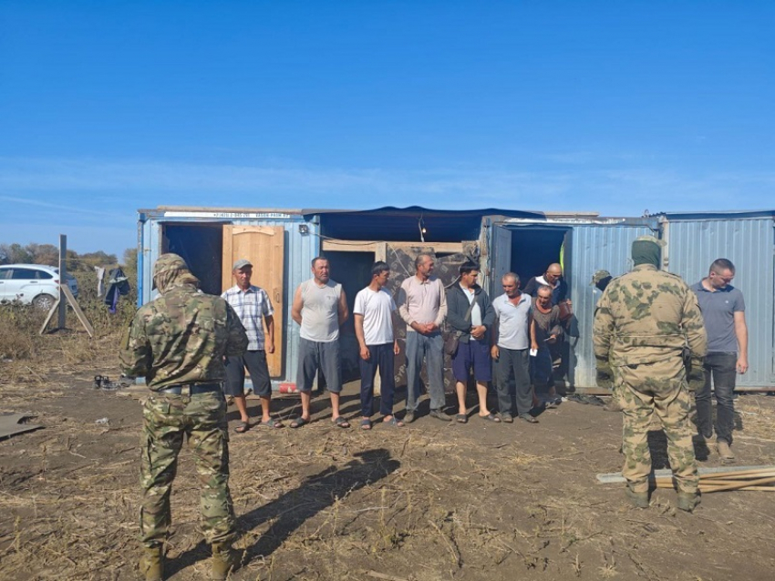 Узбекского мигранта-нелегала выдворят из России после проверки в Воронежской области 