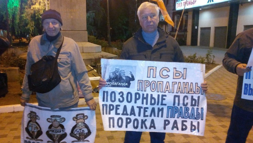 Воронежские либералы по итогам выборов в Госдуму вышли на пикет на Никитинской площади