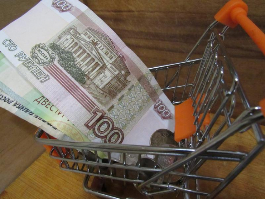 Воронежские бизнесмены с помощью налогов увели из бюджета России миллион рублей