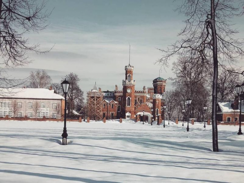 Компания из Чебоксар обожглась на госконтракте во дворце Ольденбургских под Воронежем