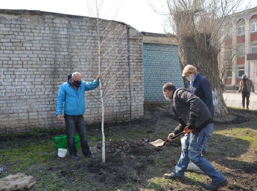 420 кустарников и два дерева посадили на территории школы в Воронеже