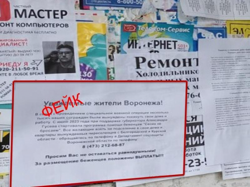 Фейковые объявления о беженцах появились на улицах Воронежа 