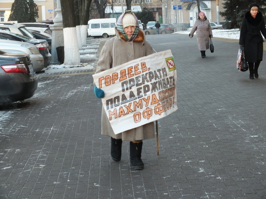 В Воронеже антиникелевые активисты отнесли подписи в правительство области (ФОТО)