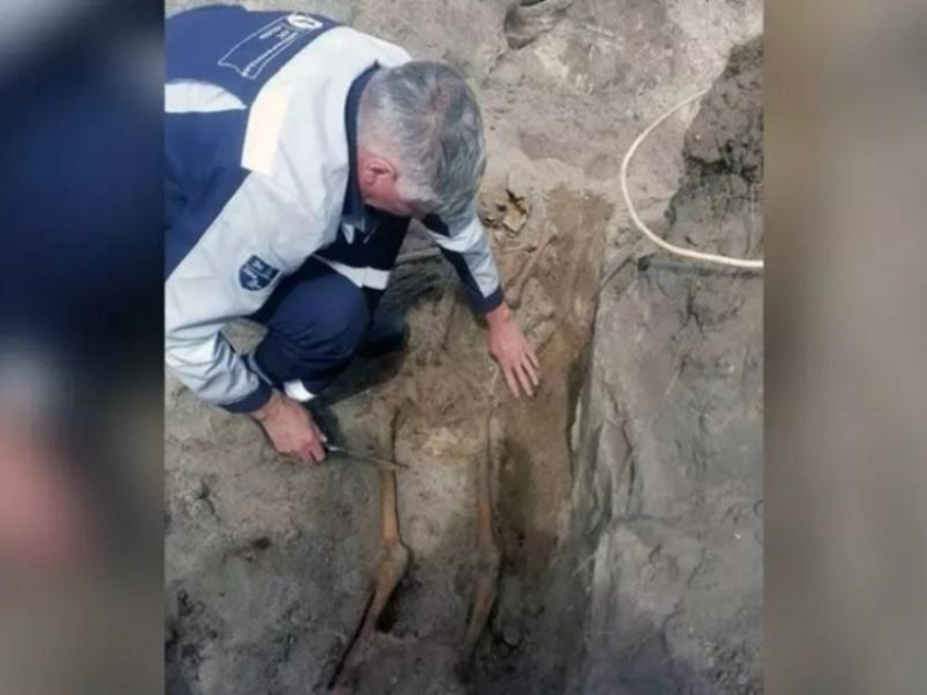 Череп и другие человеческие останки нашли возле АЭС в Нововоронеже