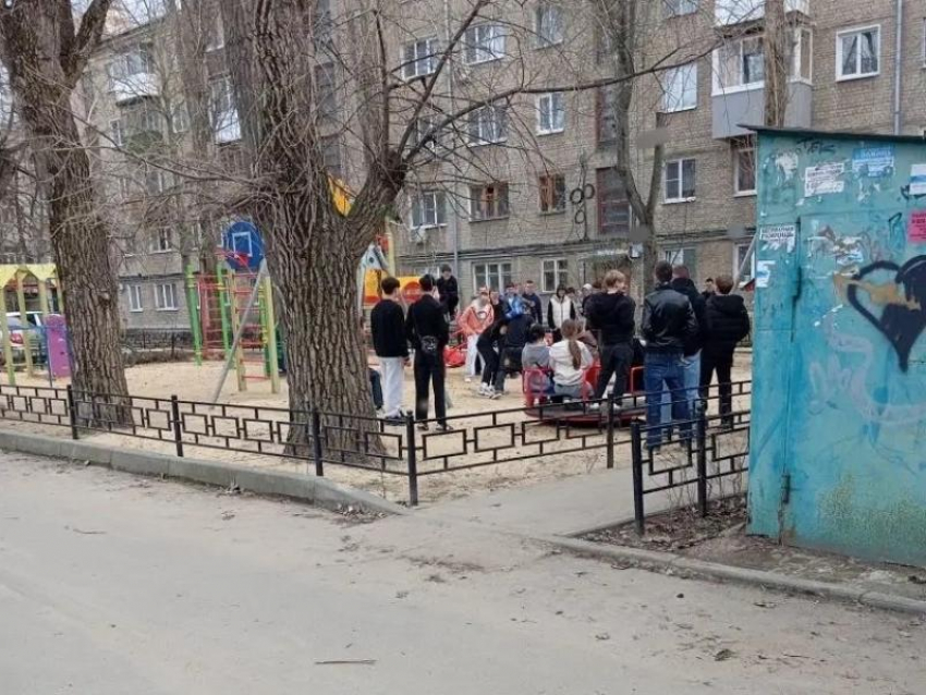 Компания агрошкольников расстроила воронежскую мамочку на детской площадке 