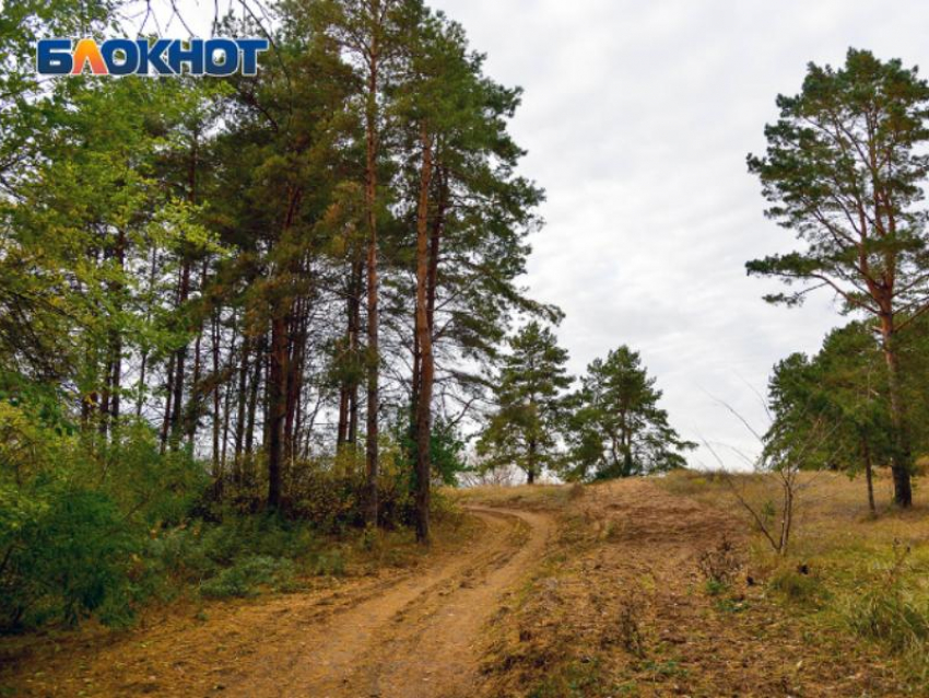 19 человек без вести пропали в Воронежской области
