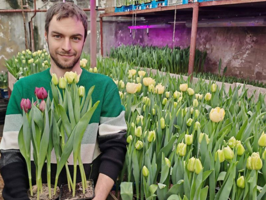 К 8 марта начал продавать тюльпаны в горшочках воронежский Ботанический сад