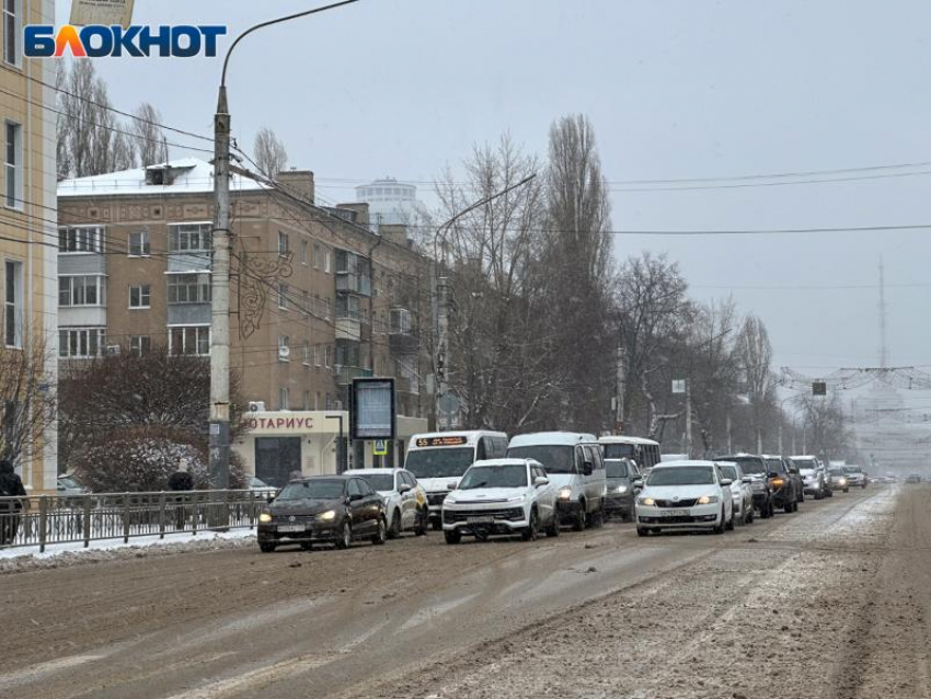 Температурные волнения переживет Воронежская область