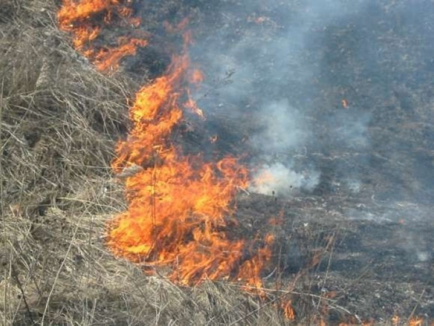 В Воронежской области за два дня 58 раз загоралась сухая трава