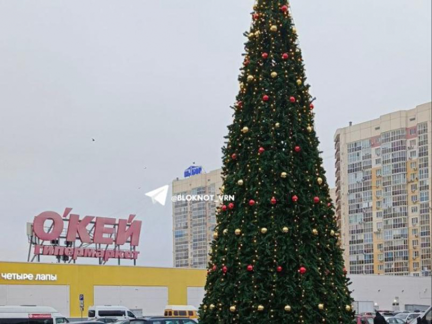 Первая большая елка появилась в Воронеже 