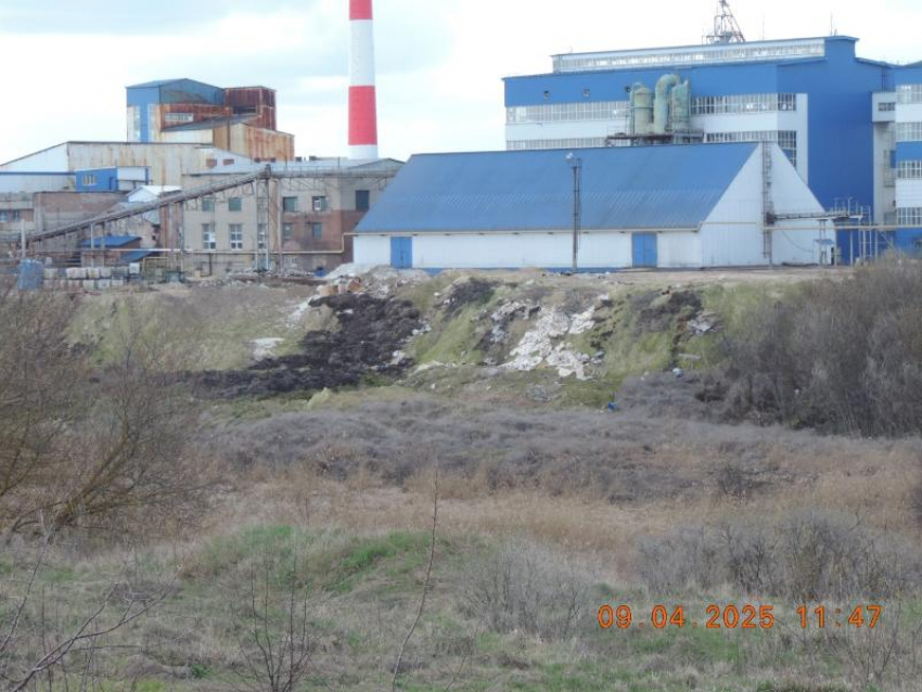 Воняющий «Кристалл» отдаст более 4 млн рублей за вред экологии в Воронежской области