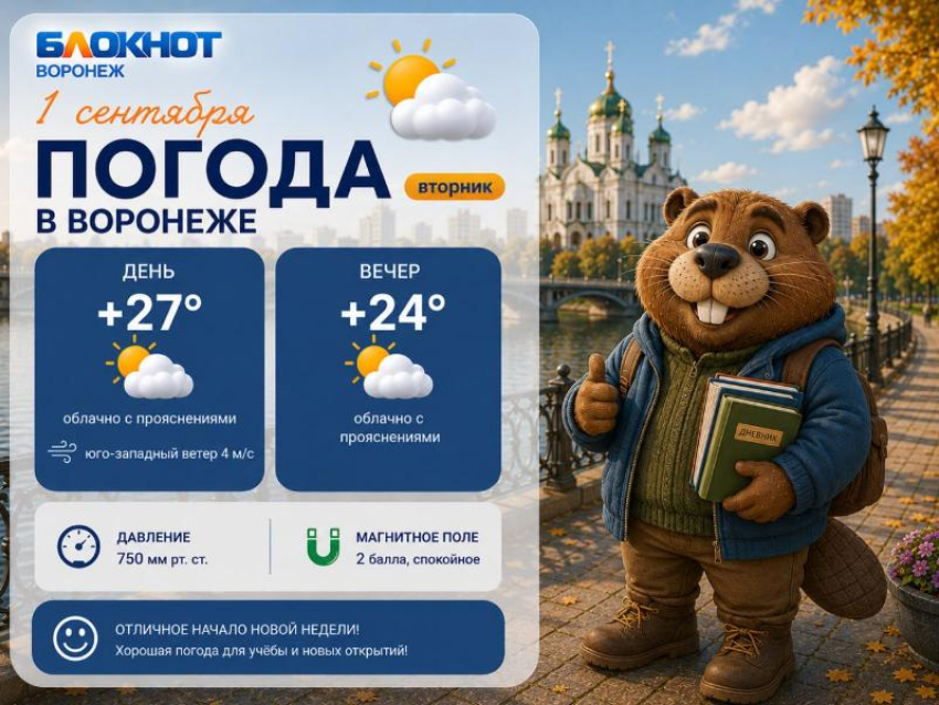 Какой будет погода в День знаний в Воронеже?
