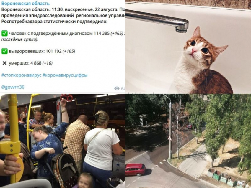 Коронавирус в Воронеже 22 августа: +16 смертей, отключение горячей воды и фекальный потоп